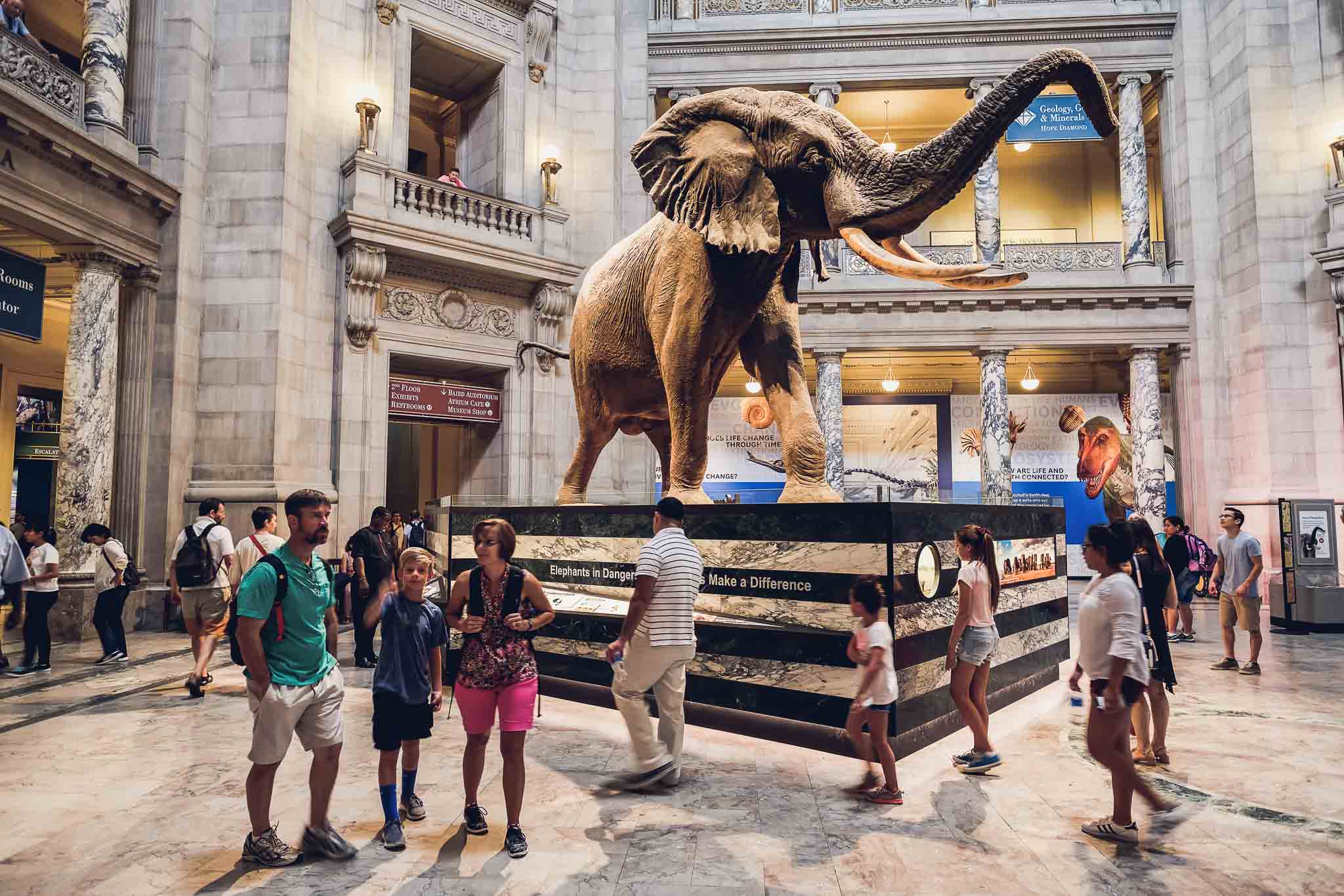Smithsonian Museum on a Washington DC class trip